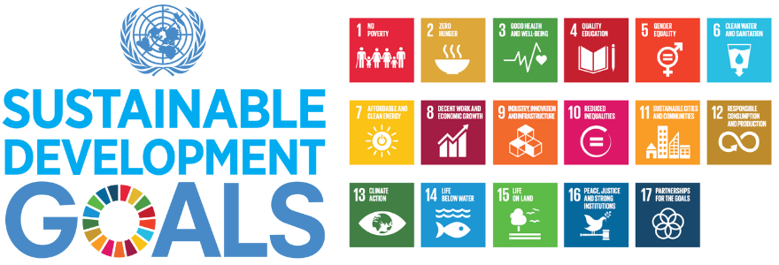 Graphic with words Sustainable Development Goals and list of all 17 goals